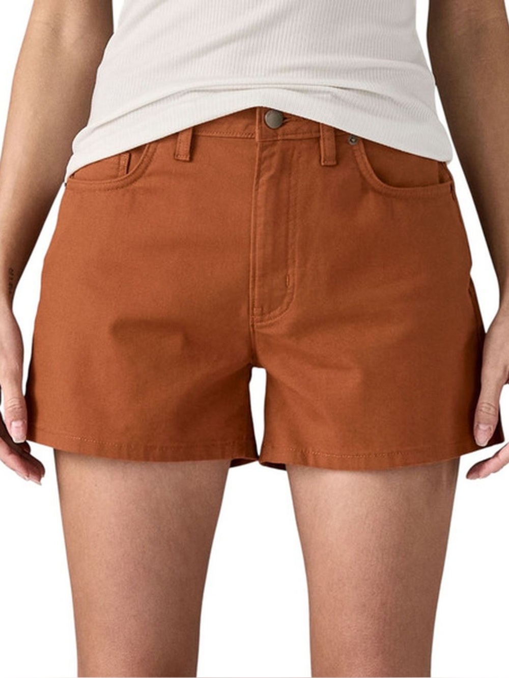 Patagonia Women's Classic Shorts in Robin Brown